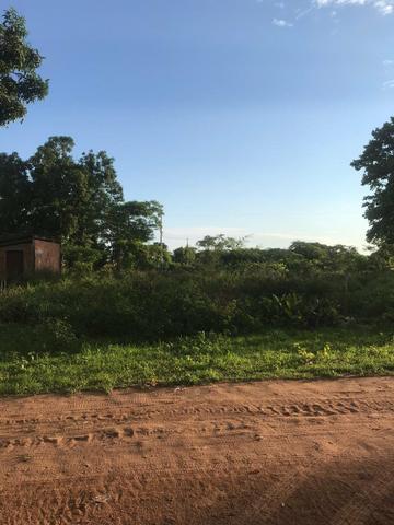 Terreno comdominio brisas do campo 5km do belvedere - Foto 4