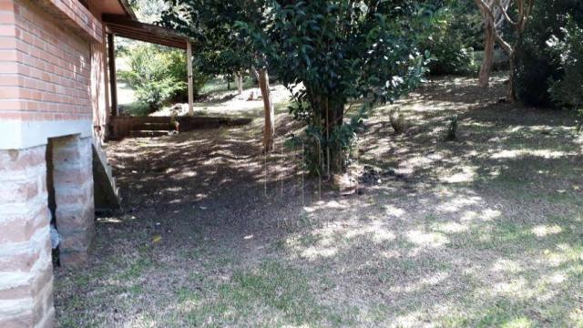 Sítio em gramado, linha tapera, 3,8 hectares - Foto 7