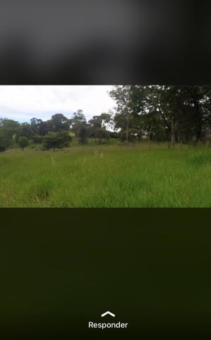 Fazenda próximo Araguari 72 Alqueires - Foto 2