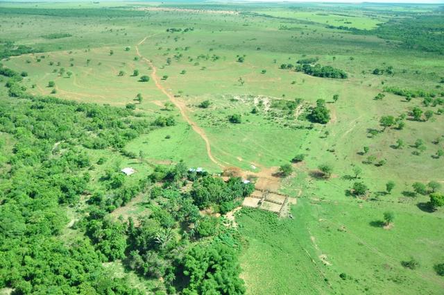 519 Hectares VENDA