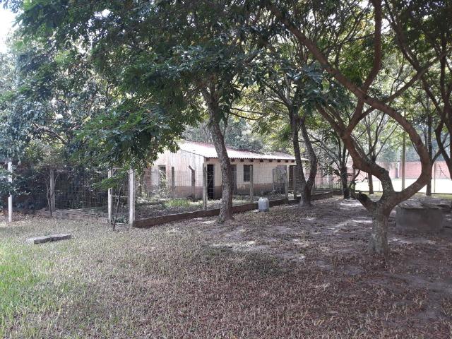 Terreno 50 x 100m Alto Padrão no Laranjal - Vendo toda área ou em lotes - Foto 10