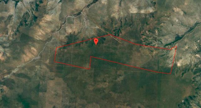 Gleba 01 com 3.866 hectares - Cocos (SP)