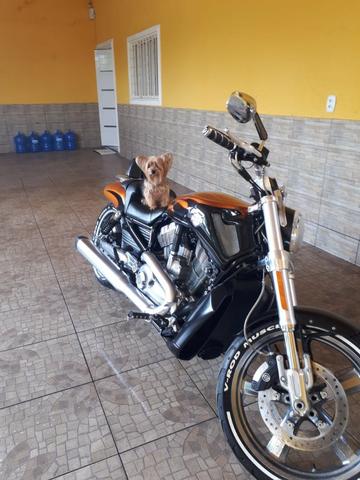 Harley Davidson V-Rod Muscle 1250 cc - Foto 17