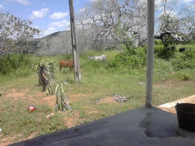 Chacara Vitória - Foto 9
