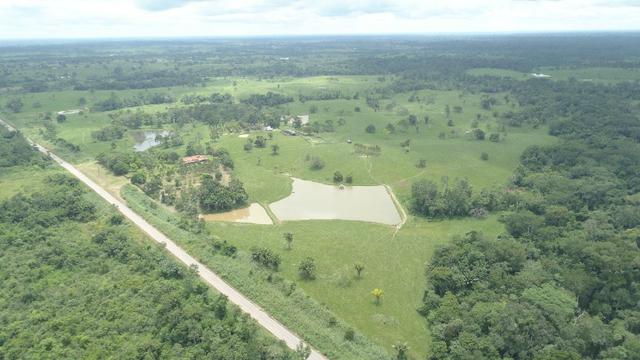 Fazenda Próxima de Rio Branco - Foto 10