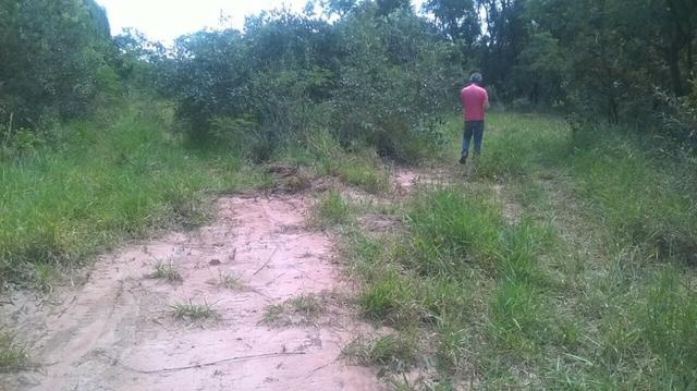 Urgente Fazenda a baixo valor de mercado (Angatuba SP) - Foto 7