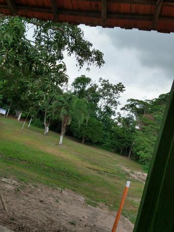 Lotes