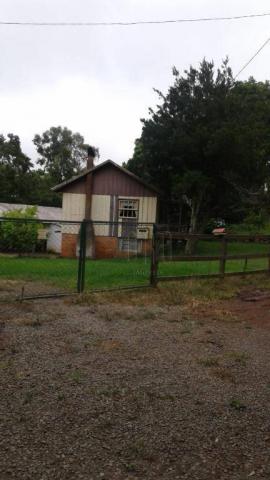 Sítio em gramado, linha tapera, 5 hectares - Foto 4