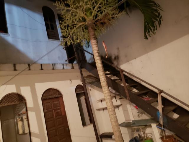 Alugo apartamento, kitnet e quarto - Foto 3