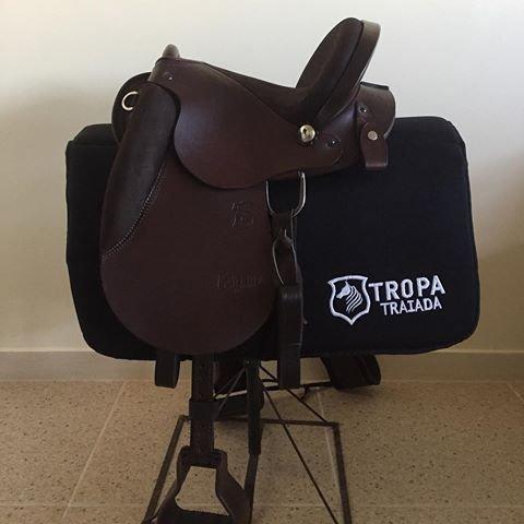 Sela australiana cavalo rei
