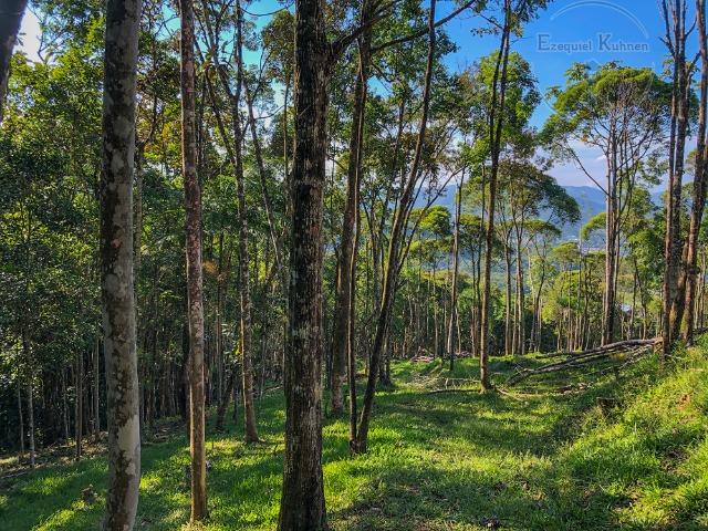 Lindo Sítio com Vista Incrível a 5,3km da BR 282 em Caldas - Foto 9