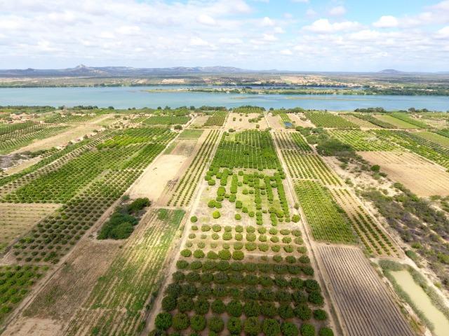 Fazenda 50 Hectares beira de rio Sâo Francisco - Venda - Foto 8