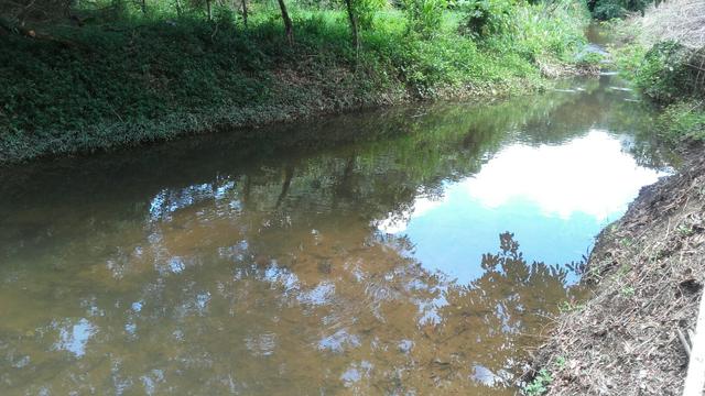 Sítio dos sonhos seu pedaço do Paraíso com 7 hectares por 150 mil - Foto 10