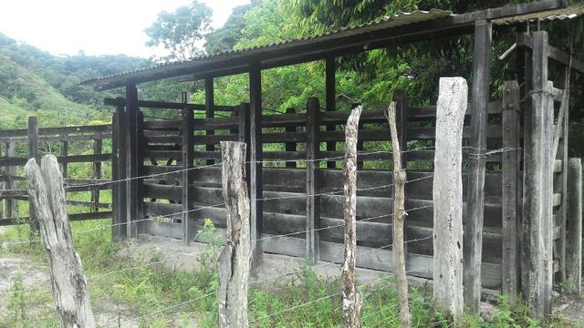 Linda Fazenda em Joaquim Gomes 60 hectares apenas 750 mil - Foto 8