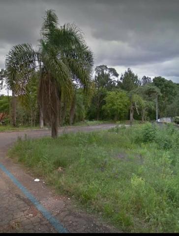 Proximo a rodovia da uva colombo, libera para construção de casas e apartamentos - Foto 5