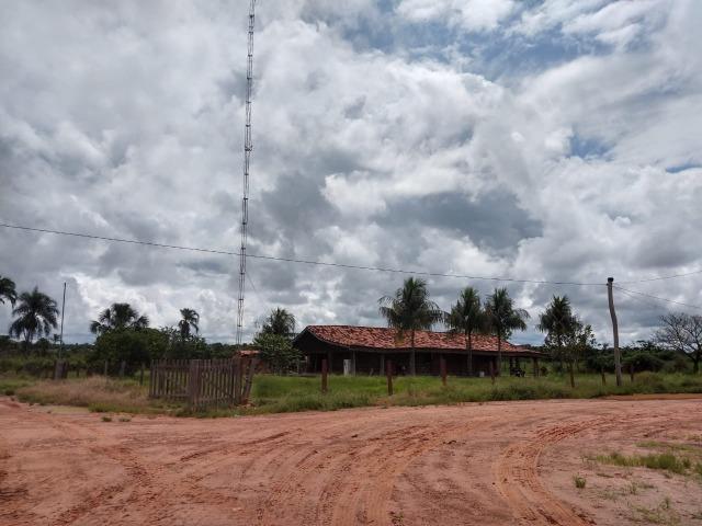 2.400 Há em Lavoura. S.J Xingu-MT - Foto 7