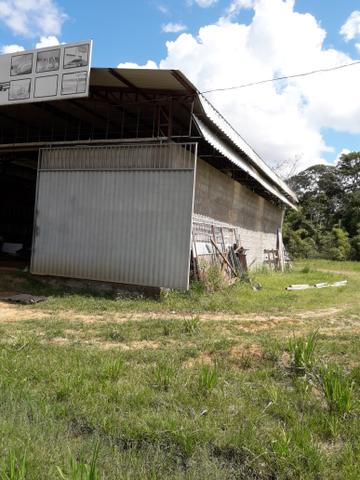 Vendo galpão / baixei o preço - Foto 6