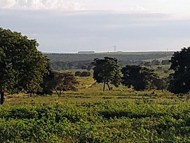 2.253 Há. Alto Garças-MT (Plana ao Lado Lavoura) - Foto 11