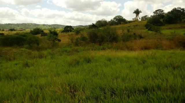 Propriedade de 7 hectares, escriturada, em Dois Leões-PE! - Foto 13