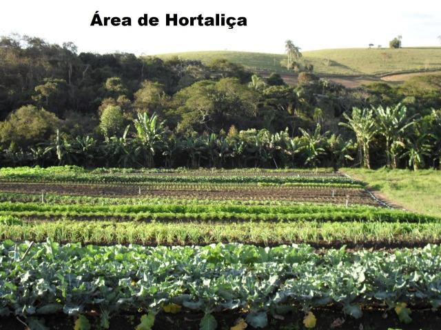 Fazenda com tudo (Casas, lagos, heliporto etc) - Foto 3