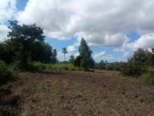 Fazenda para venda em paudalho, guadalajara - Foto 6