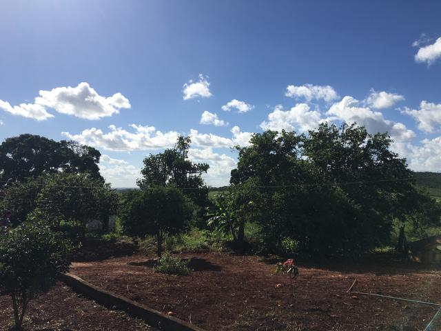 REALISE SEU SONHO CHÁCARA COM 2 Tarefas e 2 Casas - Foto 18