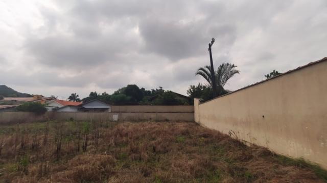 Terreno para alugar com 0 dormitórios em America, Joinville cod:08859.001 - Foto 4