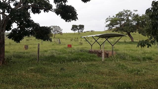 Fazenda Linda - Foto 8