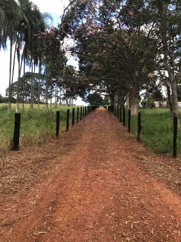 Fazenda - Foto 6