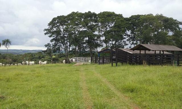 Fazenda - Foto 8