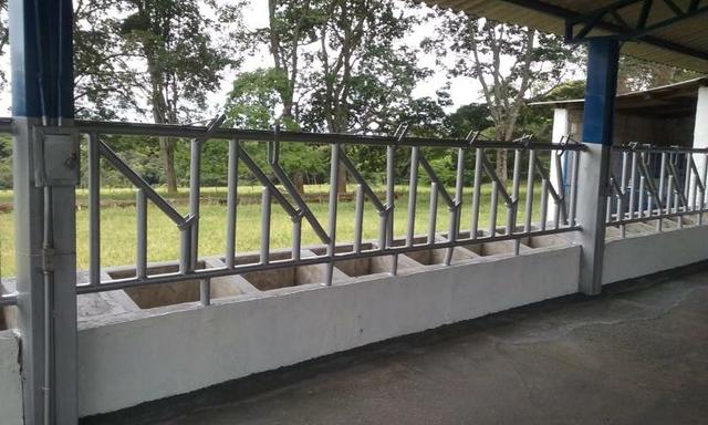 Fazenda - Foto 7