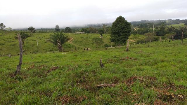 Fazenda - Foto 18
