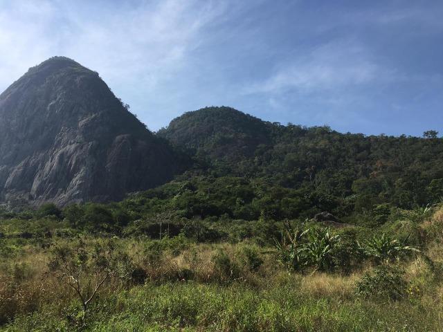 Terreno / Lote em Serra - Foto 2
