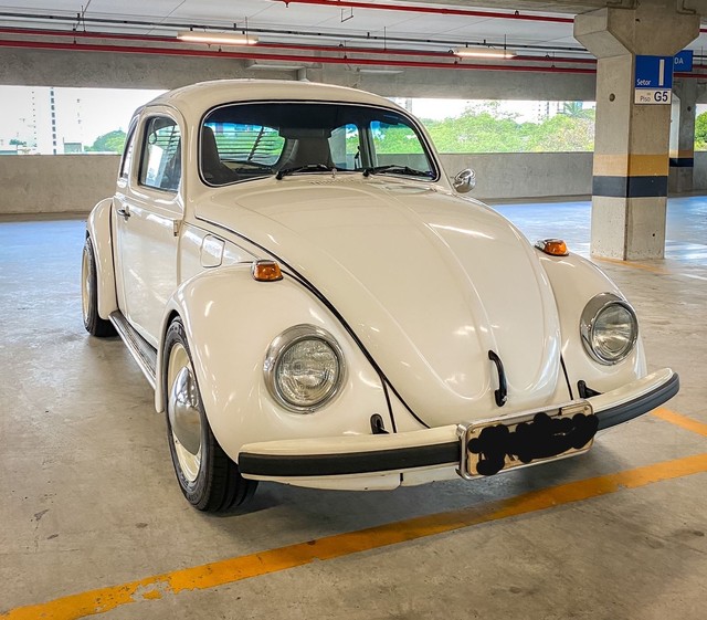VOLKSWAGEN FUSCA Usados e Novos no Rio Grande do Norte, RN | OLX