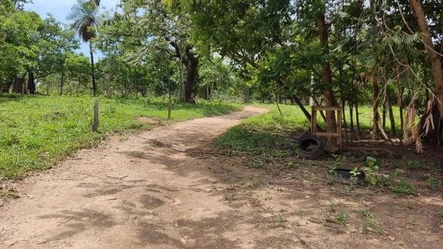 Chácara em varjao  - Foto 5