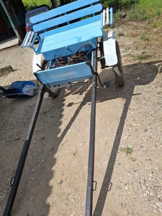 Cavalo bem manso com charrete  - Foto 5