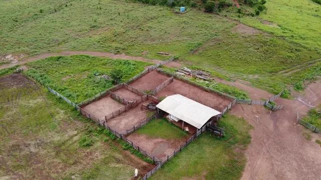 Fazenda em Novo Acordo. 67 mil com lavoura. - Foto 2