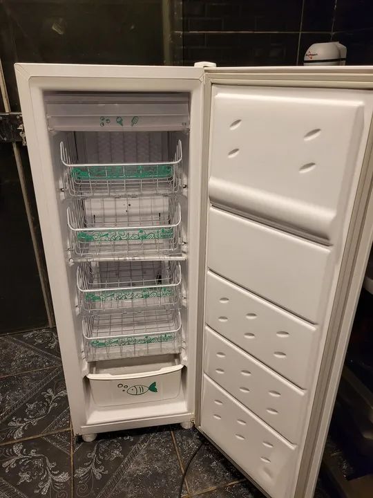 Freezer Vertical  