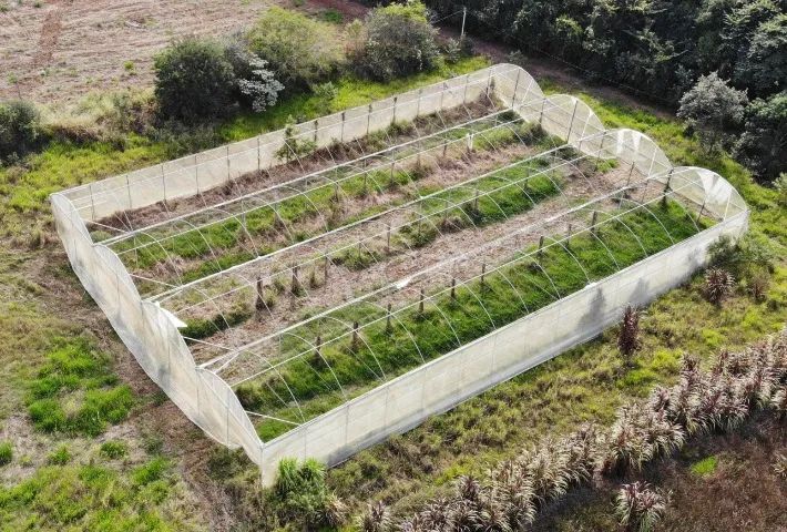 Estufa agrícola zannaleve galvanizada 1.260 m2  - Foto 3