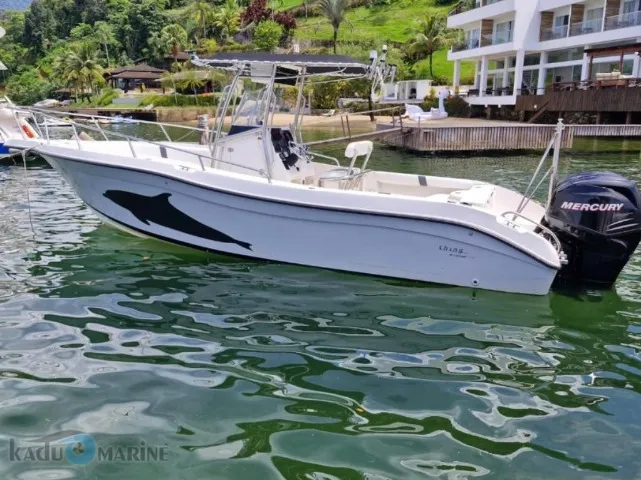 Lancha Fishing Raptor 265 2 x Mercury Verado 175 HP