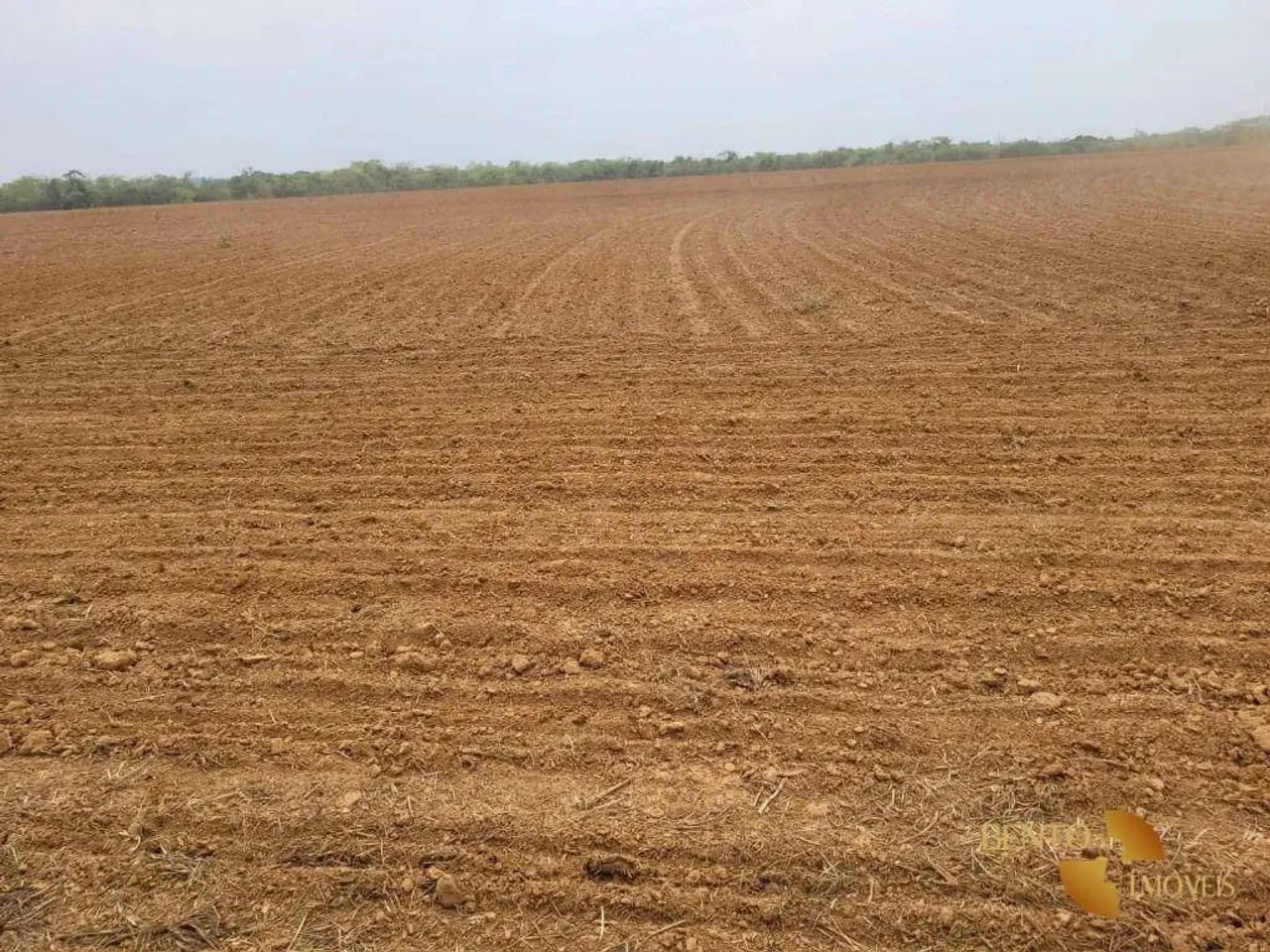 Fazenda à venda, 5540000 m² por R$ 21.000.000 - Zona Rural - Paranatinga/MT