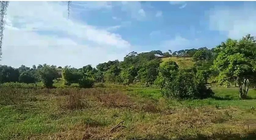 Venda-se este terreno de 21.000 M2 para a construção de sítio no interior do Município de  - Foto 5