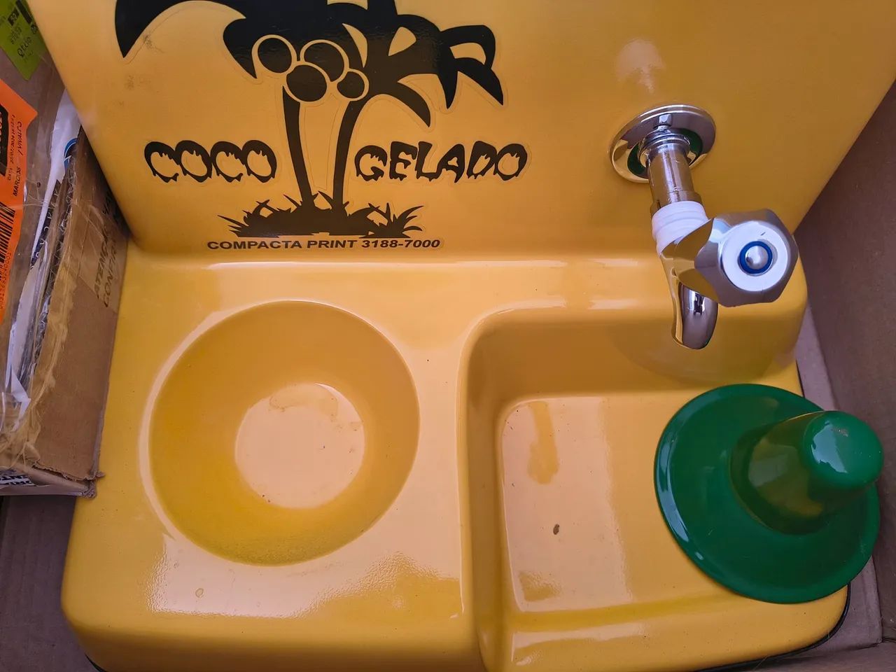 Coco Gelado - Foto 2