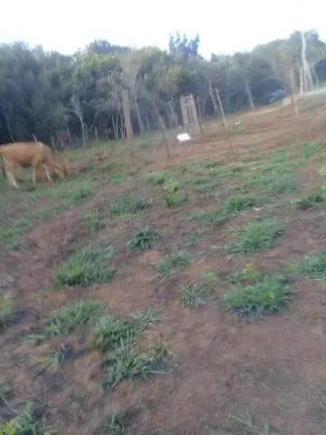 Sítio à venda, 2 quartos, MORADA NOVA - UBERLANDIA/MG - Foto 4