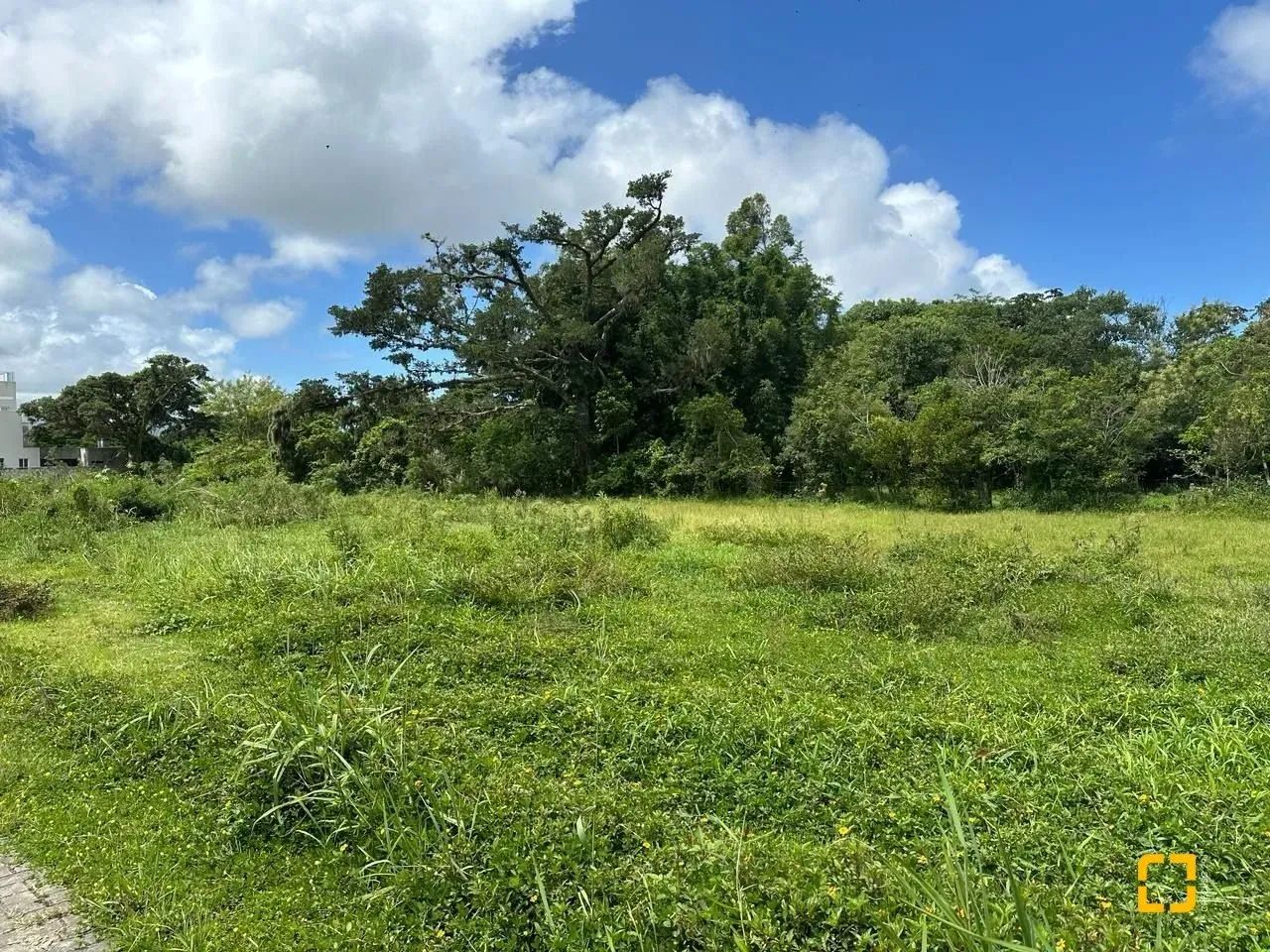 Terrenos Residenciais em Ribeirão Da Ilha - Foto 4