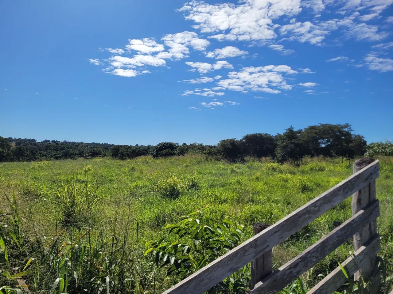 Área em Coxim, venda ou arrendamento. - Foto 2