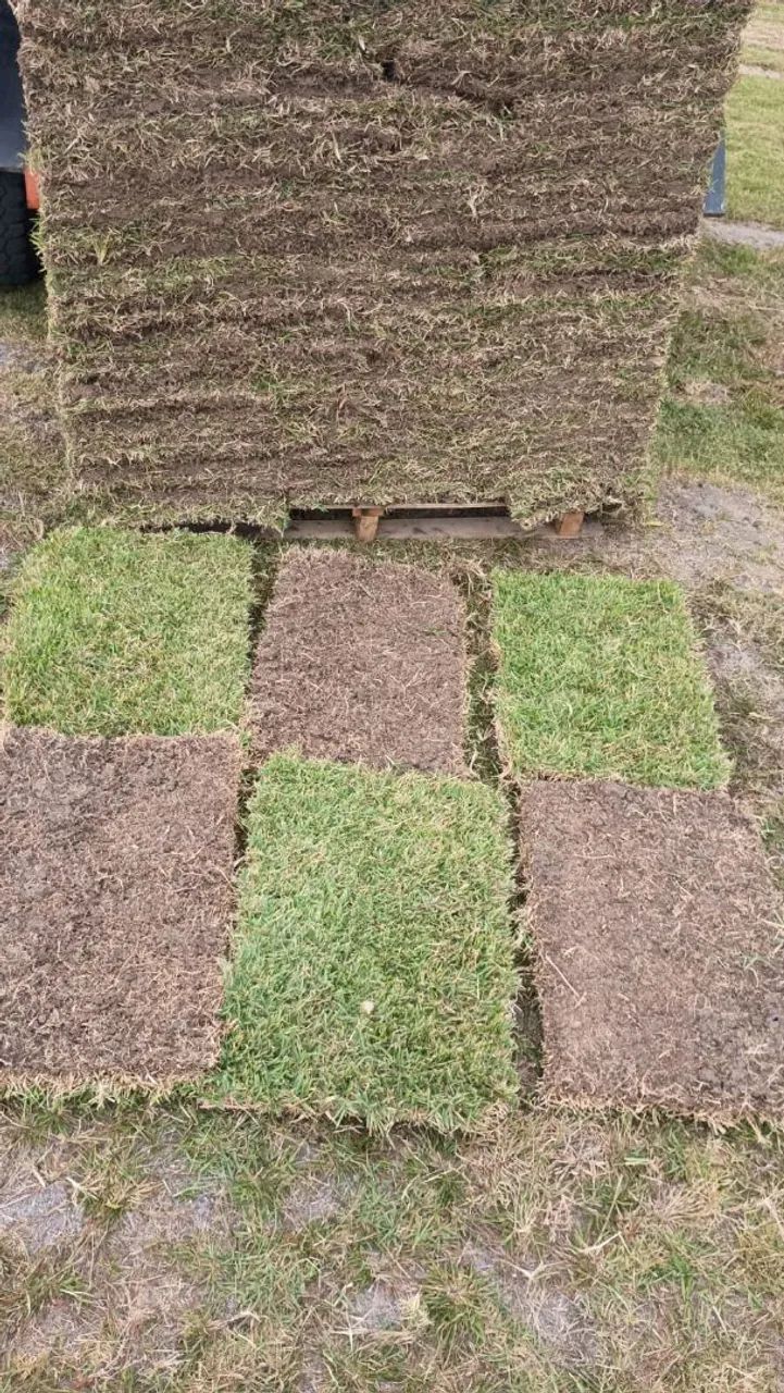 Grama 64304354624387123