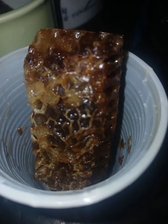 Mel de Abelha puro - Foto 3