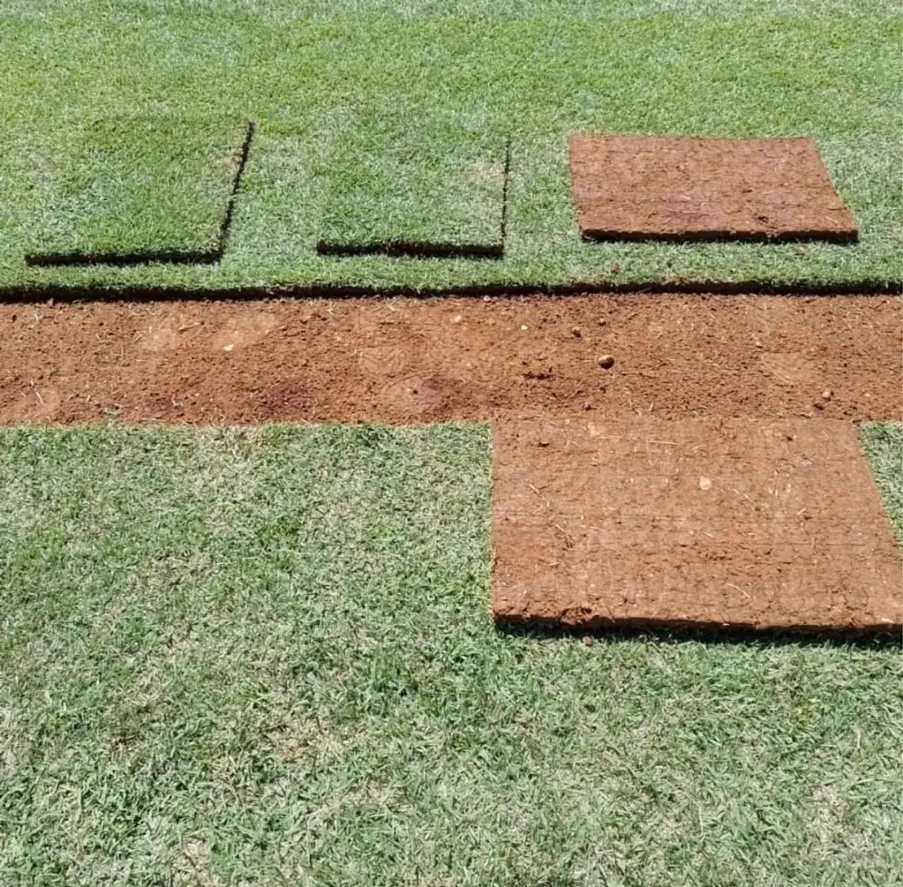 Grama Esmeralda Imperial Brasília  - Foto 3