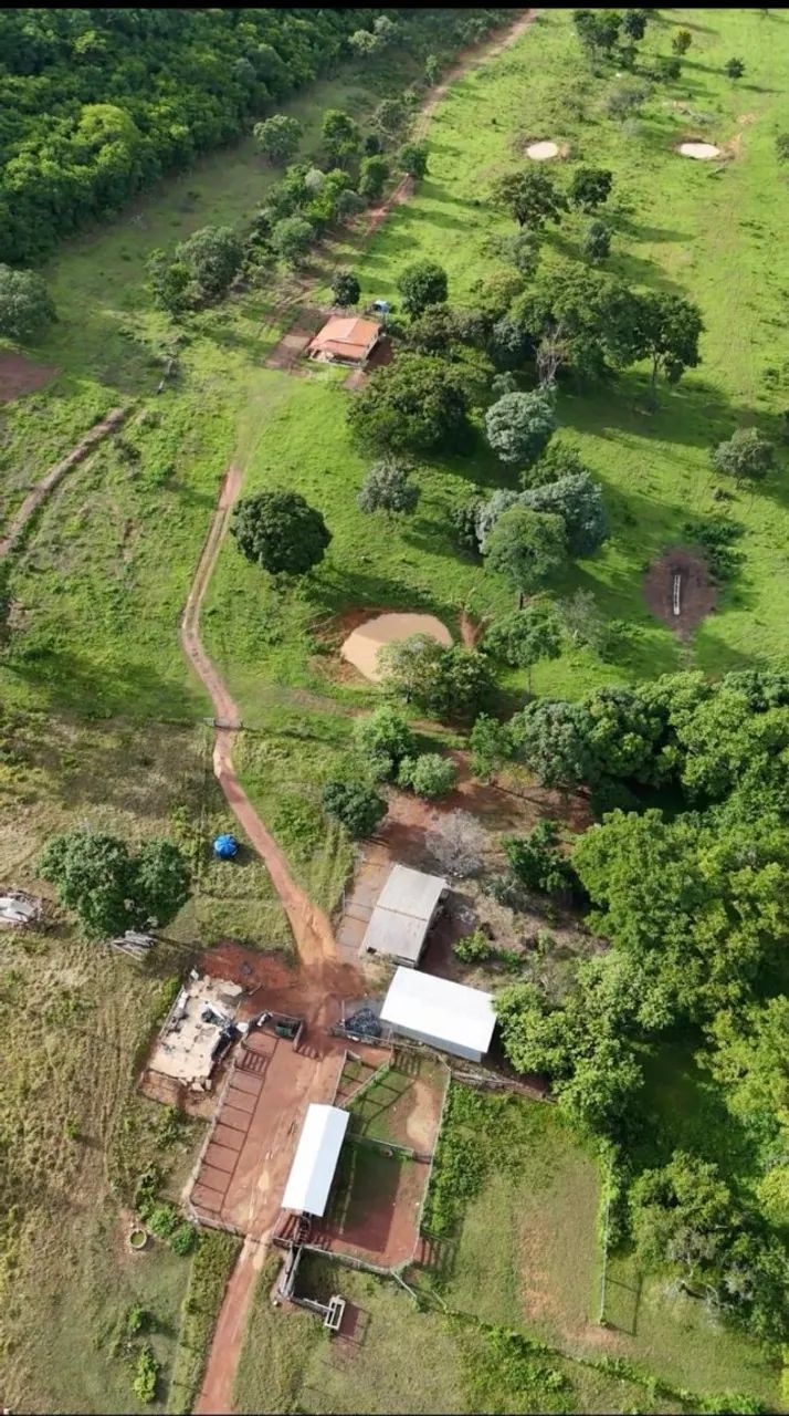 FAZENDA ESPETACUAR À VENDA - 580 HECTARES - UNAÍ - MG - Foto 6